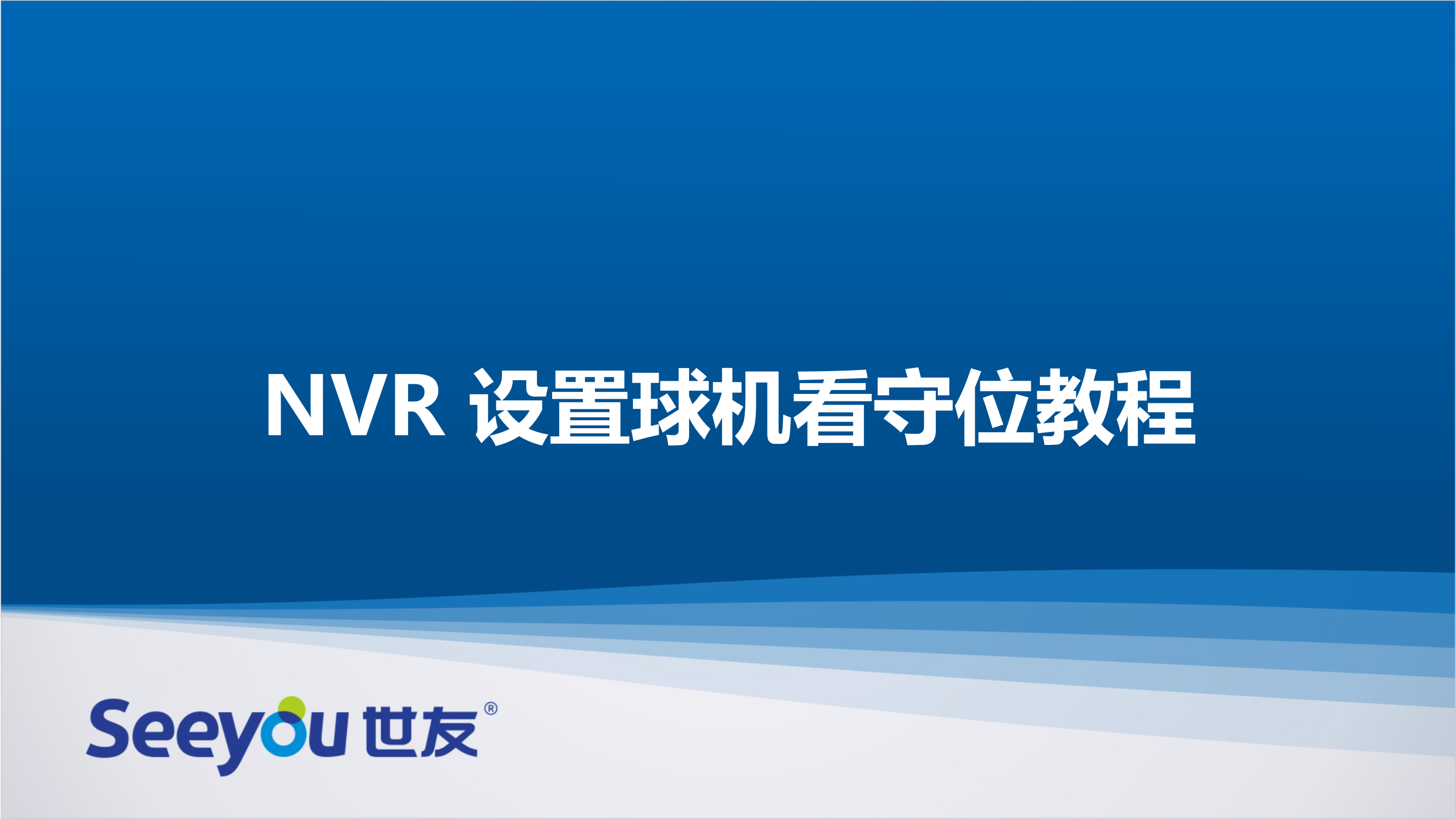 DG视讯NT NVR设置球机看守位教程